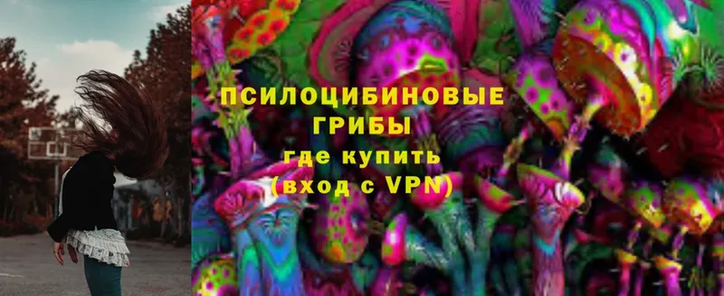 Псилоцибиновые грибы Magic Shrooms  Миллерово 